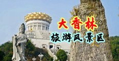 双男调教狠肏网站中国浙江-绍兴大香林旅游风景区